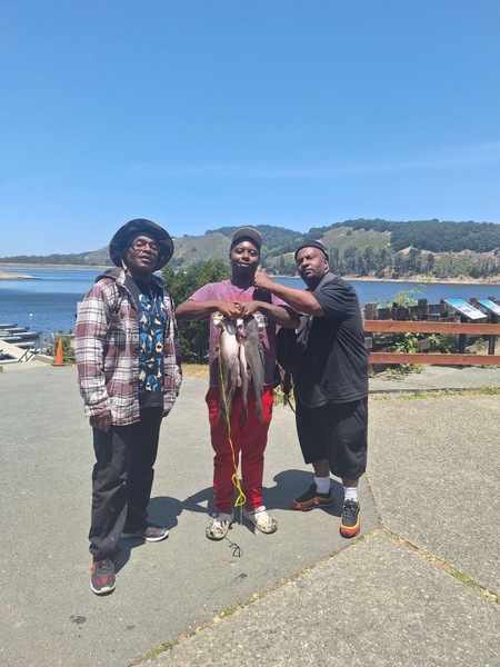 Report Picture