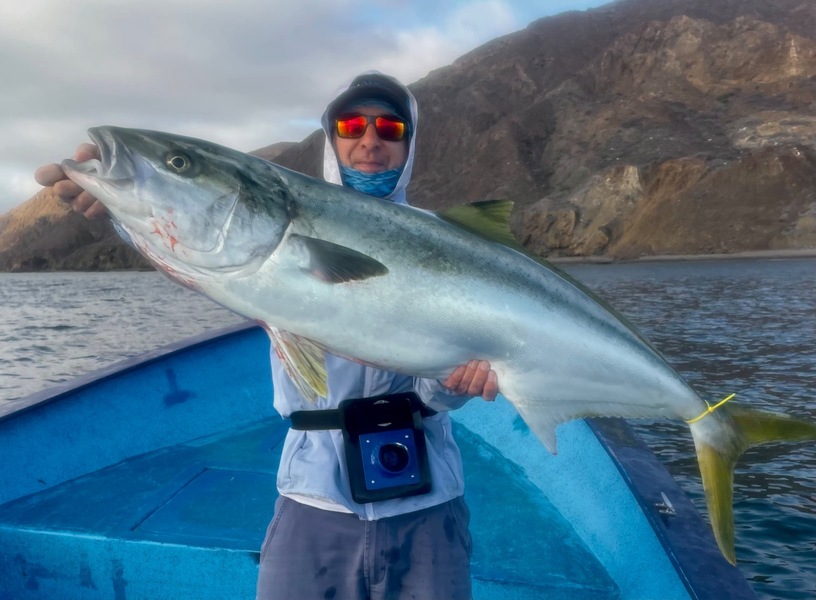 Cedros Sportfishing