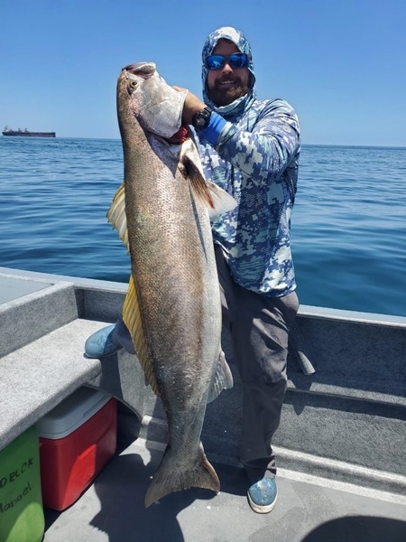 Cedros Sportfishing