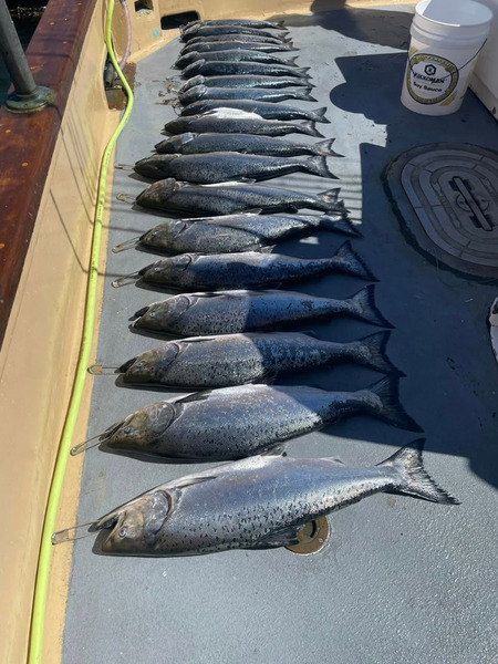 Fury (WA)