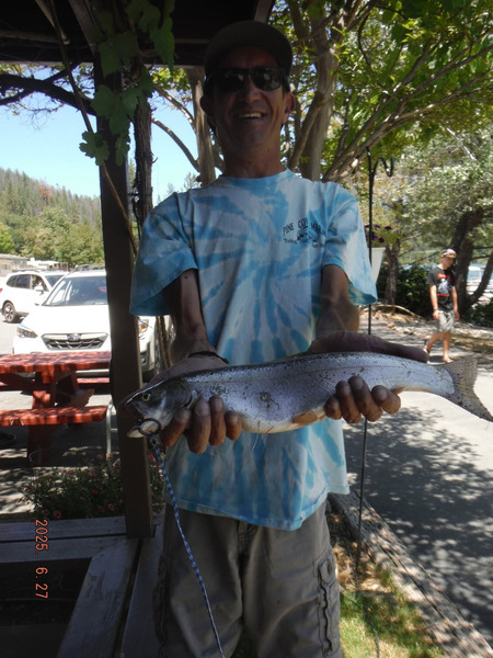 Report Picture