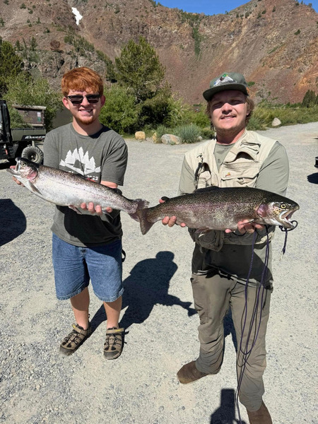 Report Picture