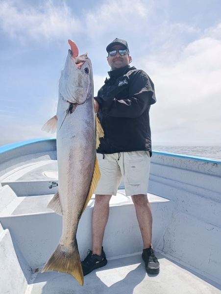 Cedros Sportfishing