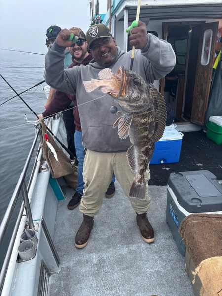 Report Picture