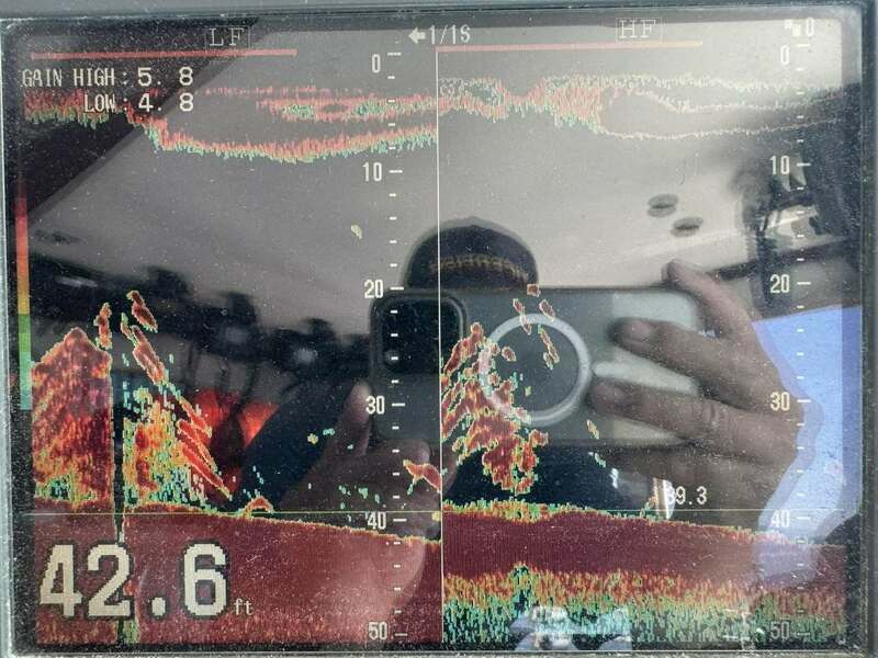Report Picture