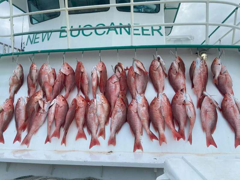 Fishing Highlights: Aug 25 – Sept 1
