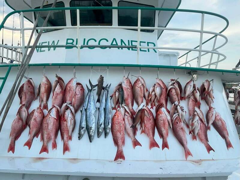 🌊 Big Catches, Big Fun