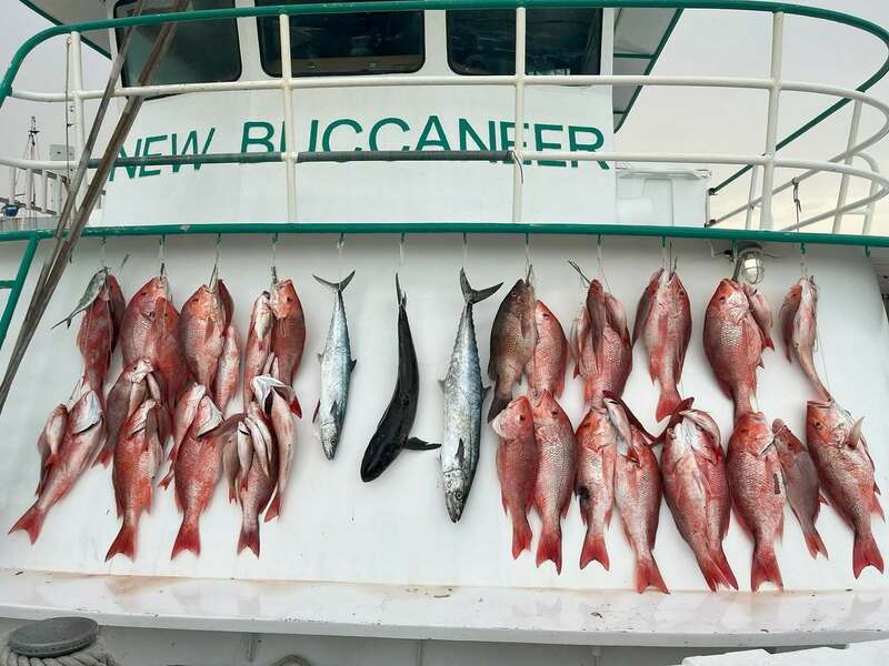 Weekend Catch Highlights