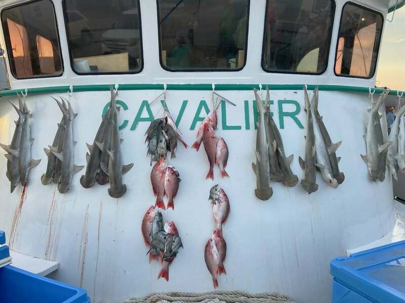 🎣 Deep Sea Days Done Right This August!