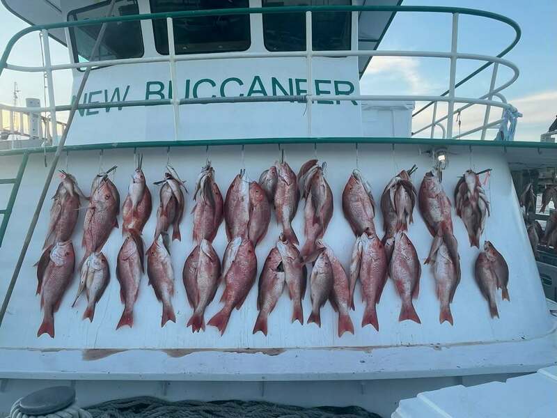 ⚓ Weekend Catches! 