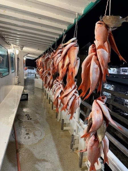 12 hour deep sea trip