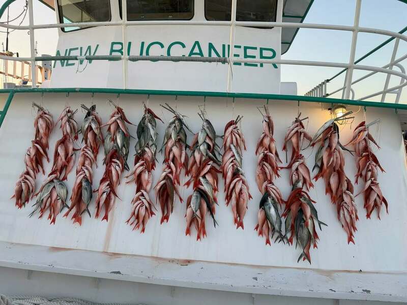 12 hour deep sea trip