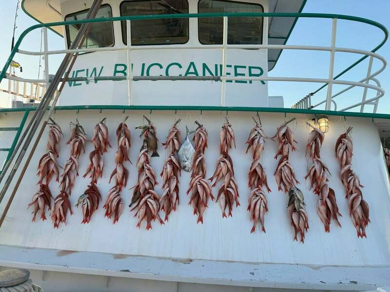 😮 Did someone say 