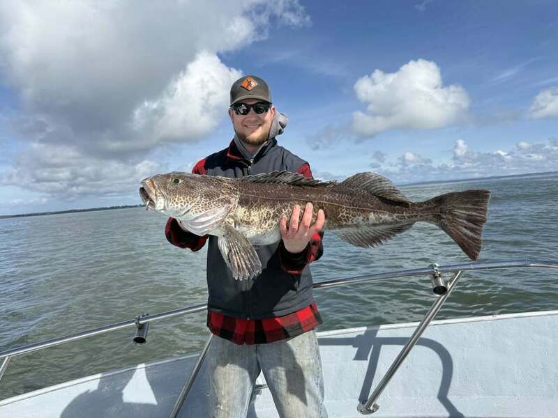 Tequila Too ( old one)