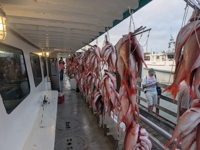  Finally, the wind quit blowing enough for the New Buccaneer to make it offshore three days in a row!