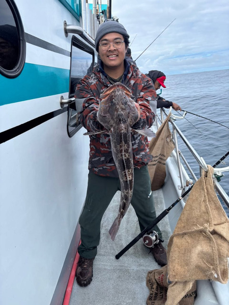 Report Picture