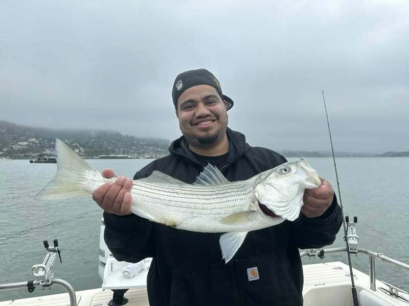 Report Picture