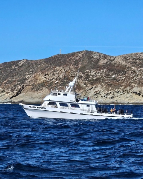 Polaris Supreme