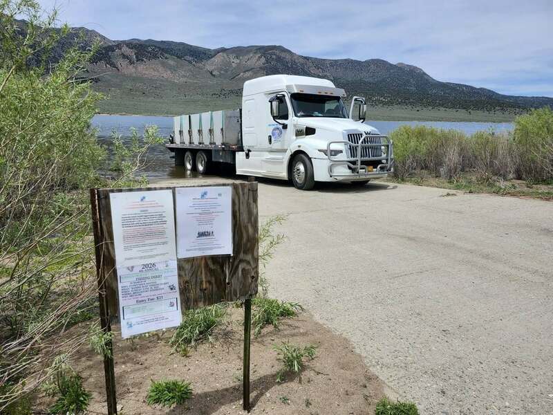 Report Picture