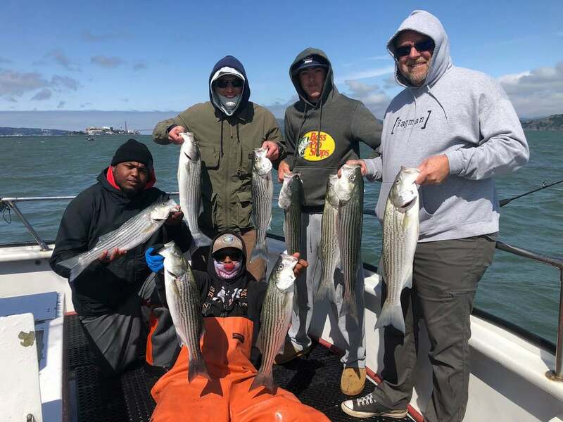 KingFish