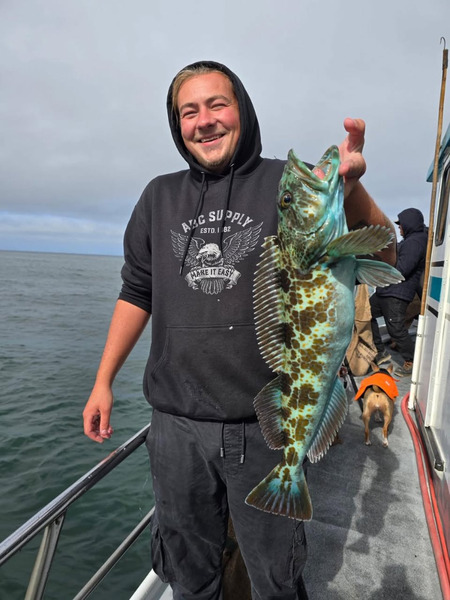 Sea Wolf