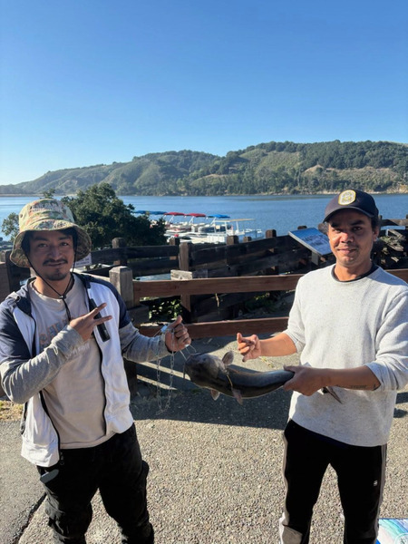 Report Picture