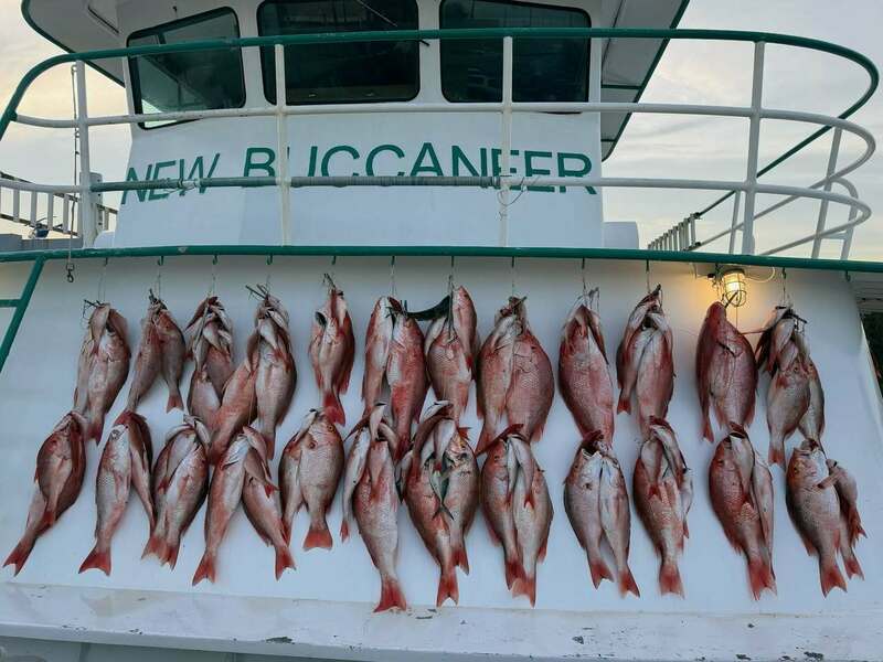IT'S RED SNAPPER SZN!