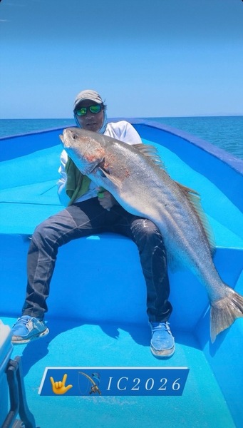 Cedros Sportfishing