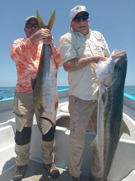 Cedros Sportfishing