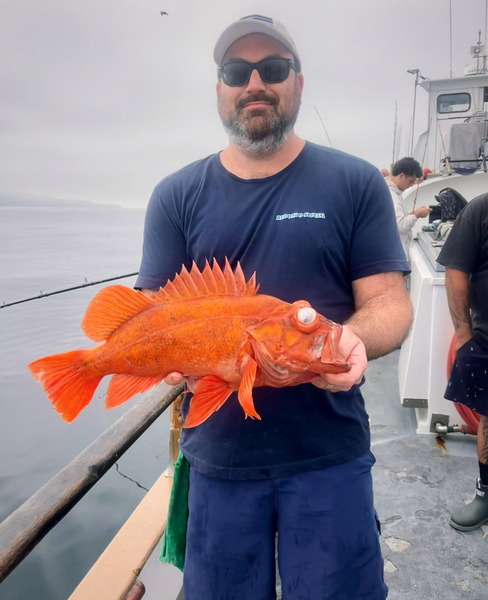 Redondo Special
