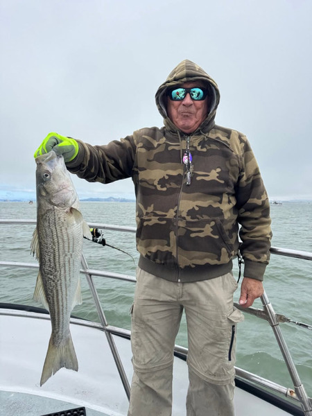 KingFish