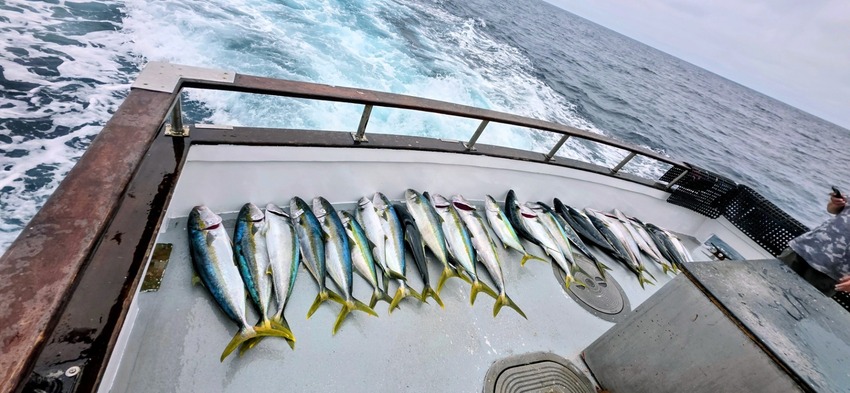 Eldorado