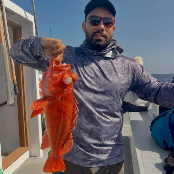 Redondo Special