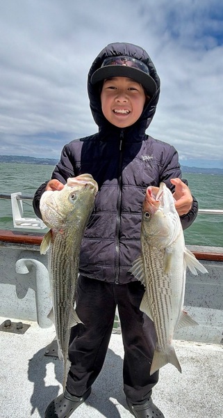 Report Picture