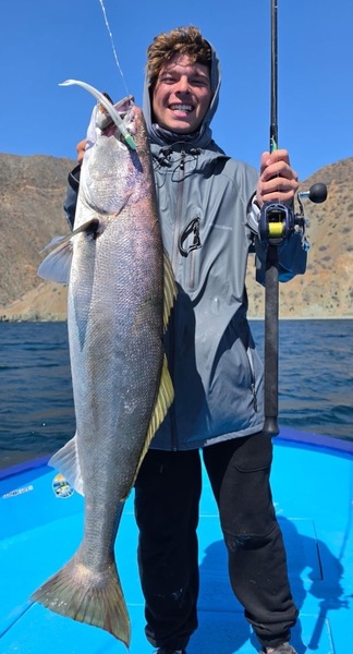 Cedros Sportfishing