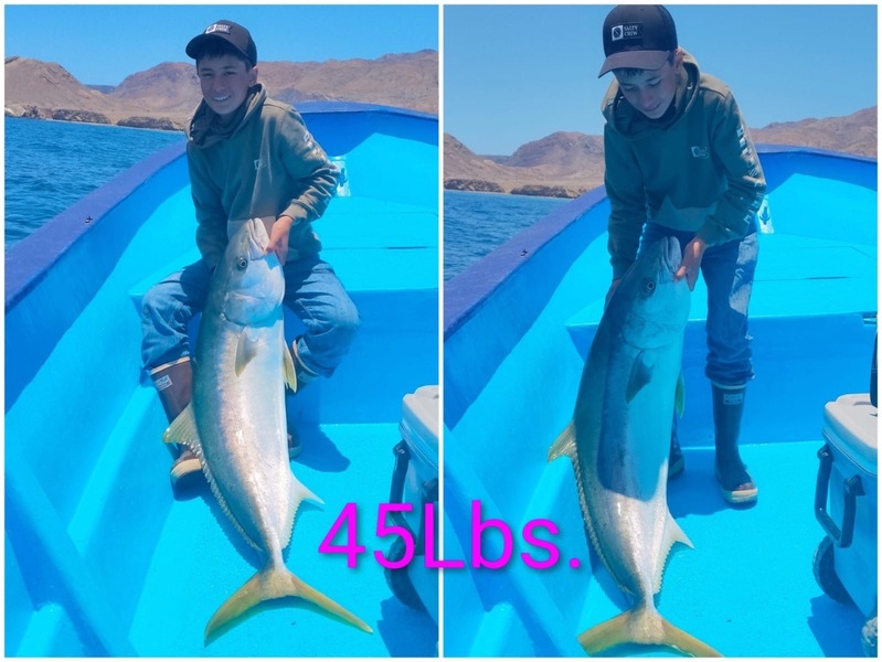 Cedros Sportfishing