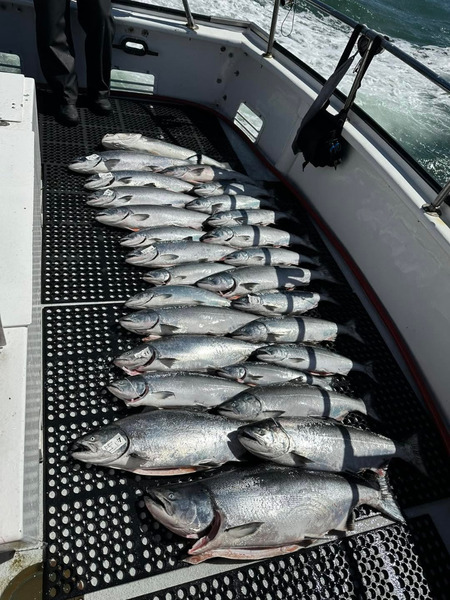KingFish