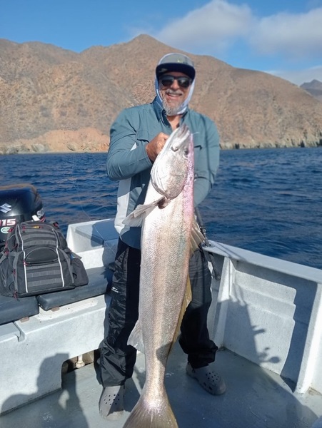 Cedros Sportfishing