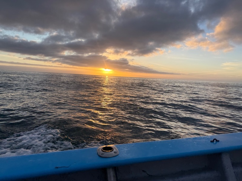 Cedros Sportfishing