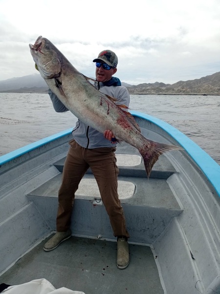Cedros Sportfishing