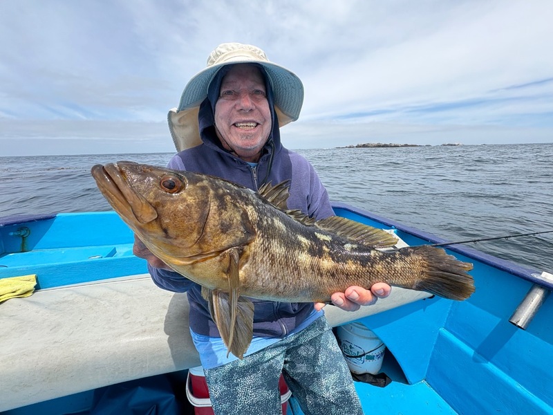 Cedros Sportfishing