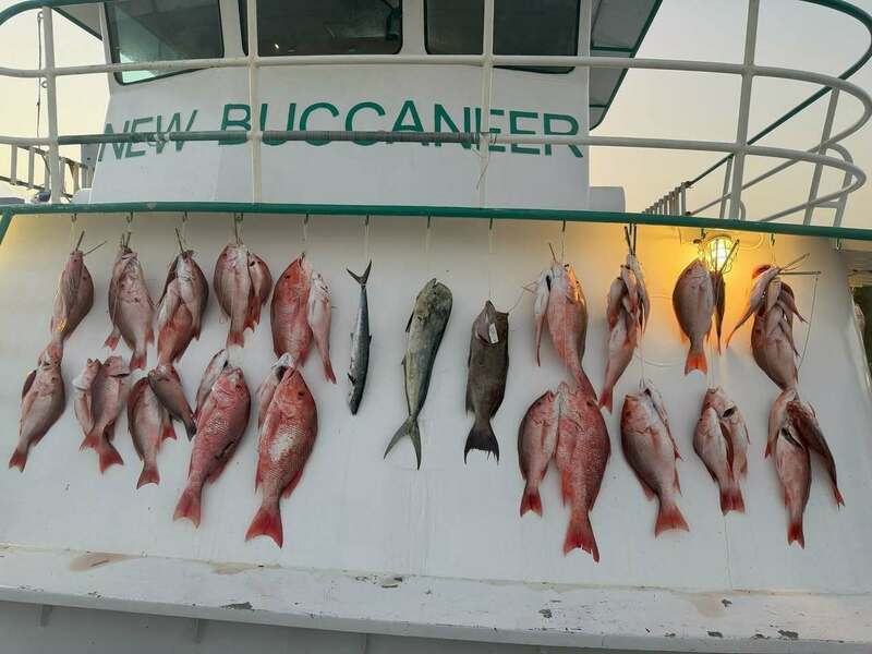  Trip reports are rolling in! Red Snapper season is still poppin'!
