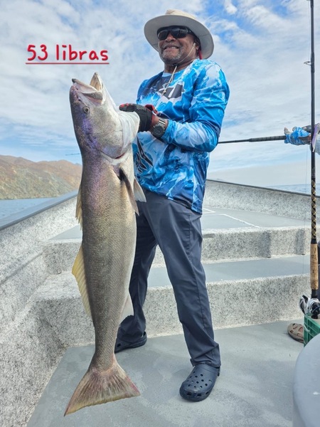 Cedros Sportfishing