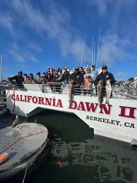 California Dawn