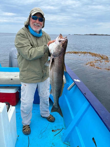 Cedros Sportfishing