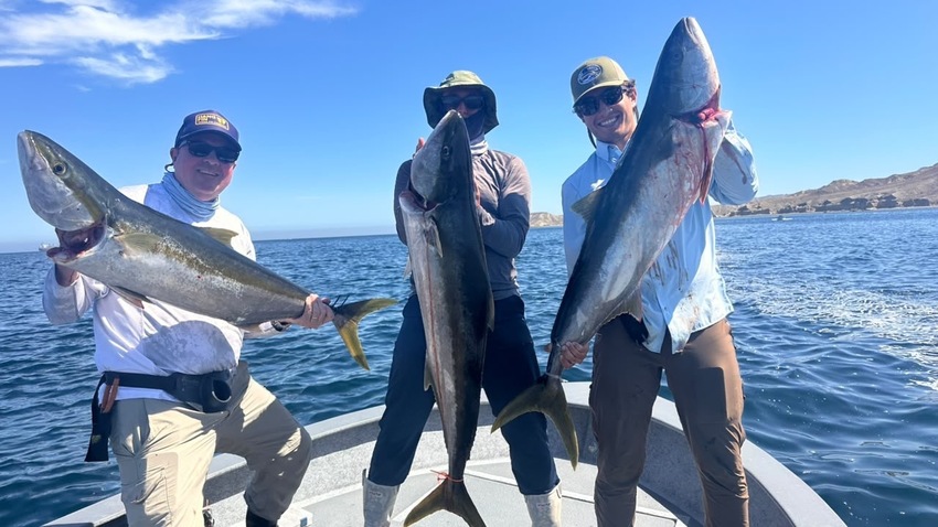 Cedros Sportfishing