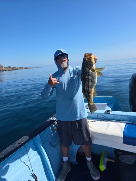 Cedros Sportfishing
