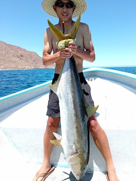 Cedros Sportfishing