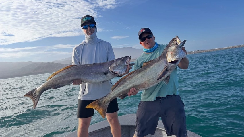 Cedros Sportfishing