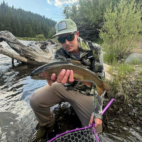 Report Picture